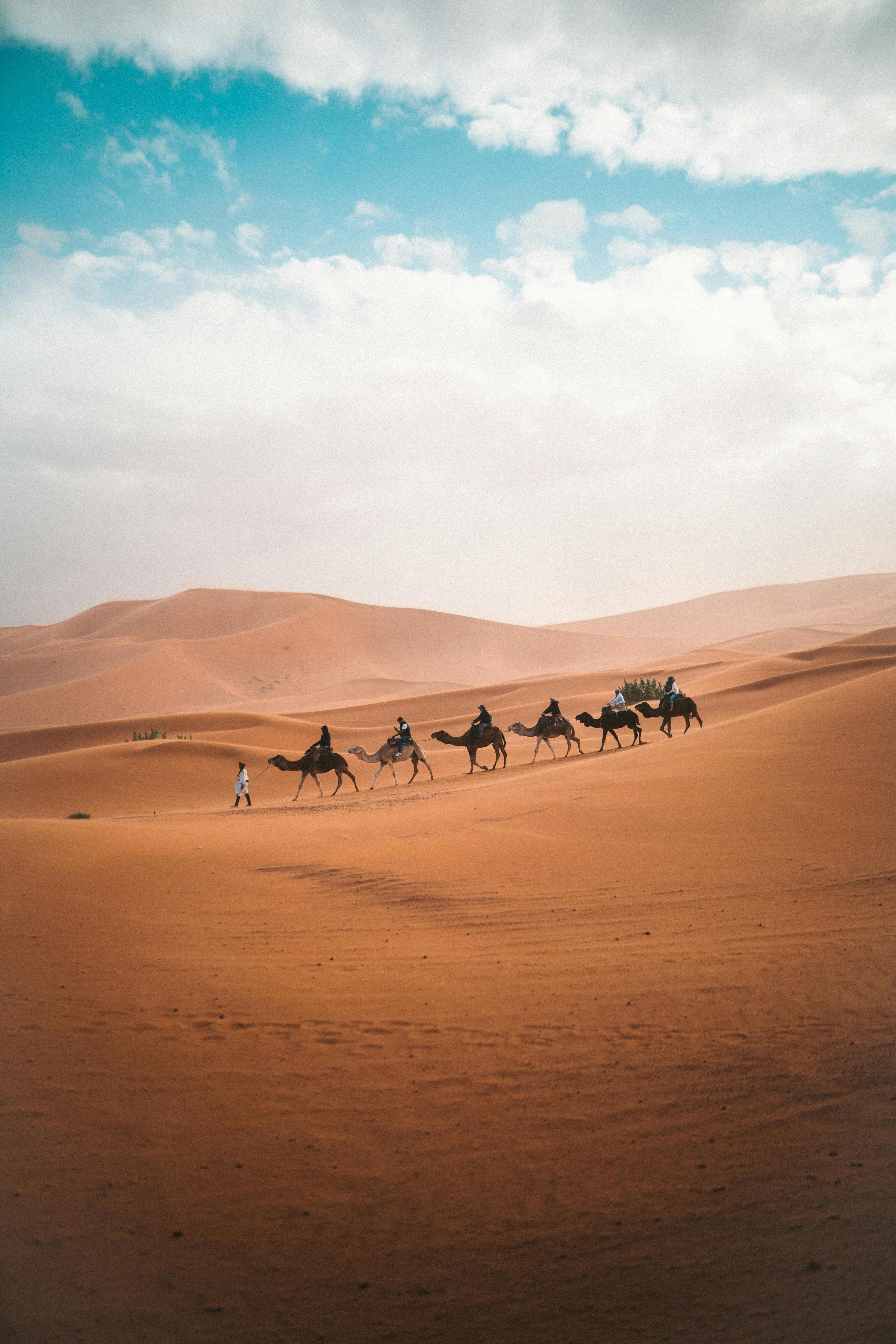 Camel Trekking - 3