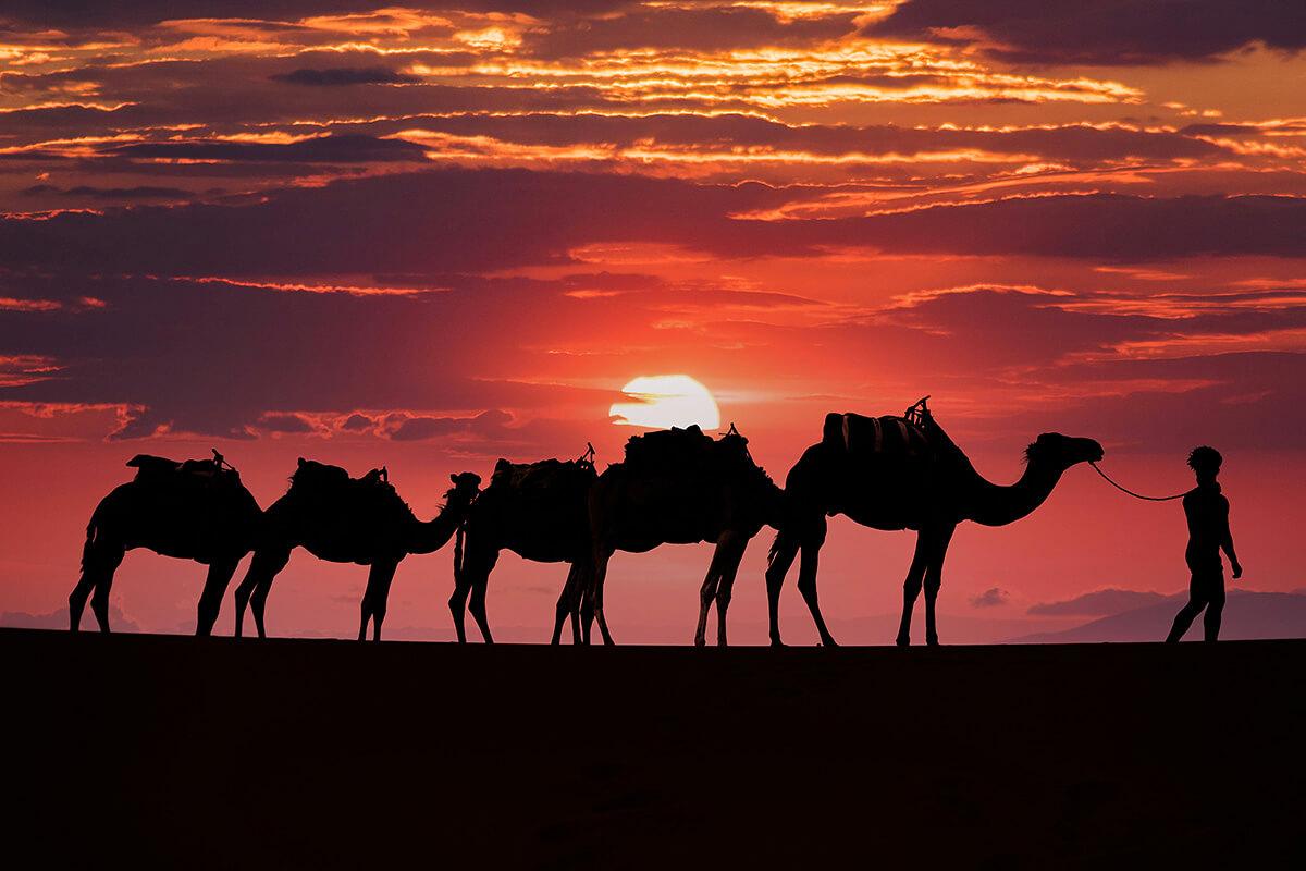 7-Day Morocco North to South Adventure