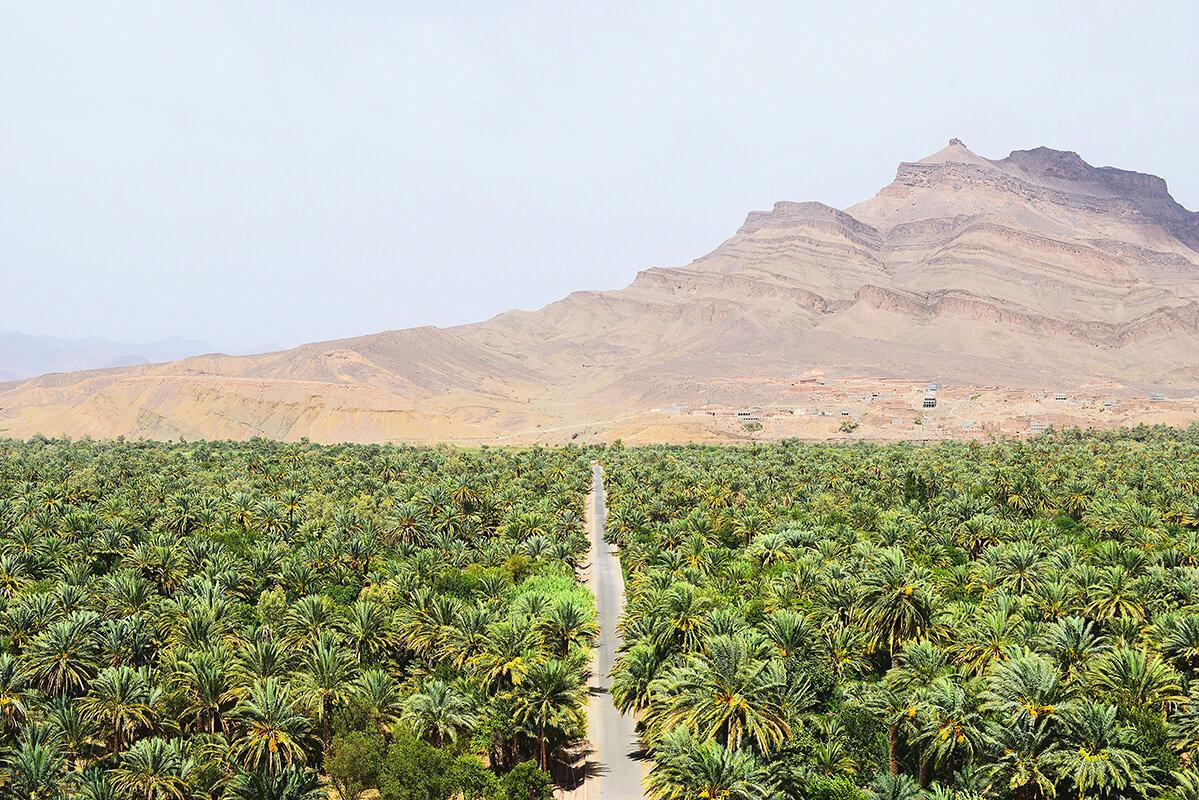 Day Trip to Ouarzazate & Ait Ben Haddou
